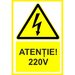 Placuta atentie 220v